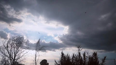 A sky full with a flock of birds Stock Footage 315080965