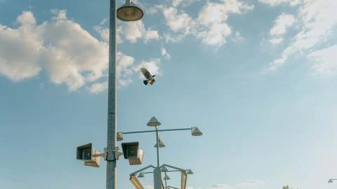 A sky full of light Stock Photos