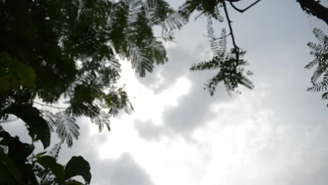 The sky is getting cloudy Stock Footage 194647704