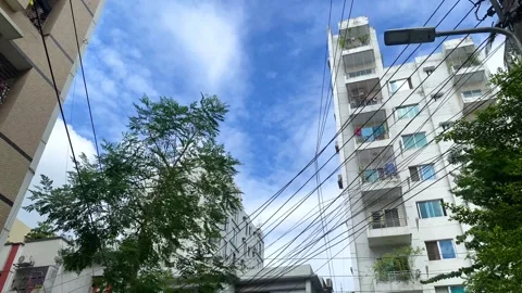 The sky glimpsed through the swaying tree. High-rise buildings and blue sky. Stock Footage 282771659