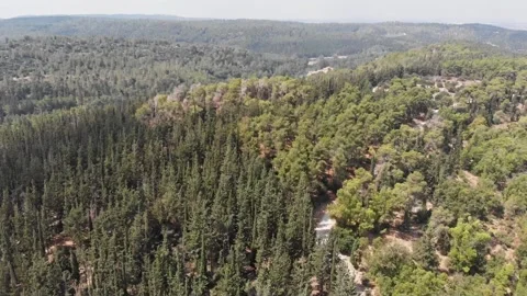 From the sky to the ground forest view Stock-Footage 208004138