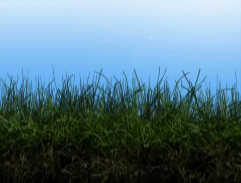 Sky to Ground transition 4k Stock Footage 106044879