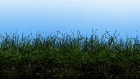 Sky to Ground transition Stock Footage 106044729