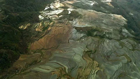 Sky High Look at Sunset of the Largest Rice Terraces in the World Stock Footage 151748209