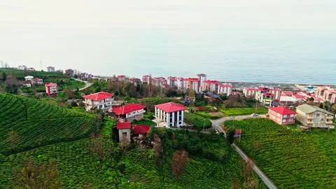 Sky-High View: Capturing stunning visuals from above. Stock Footage 272442606