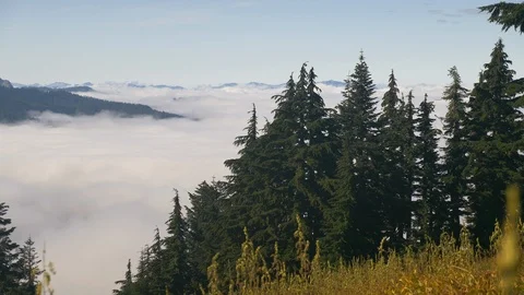 Sky Islands in a sea of cloud 3 Stock Footage 101204606