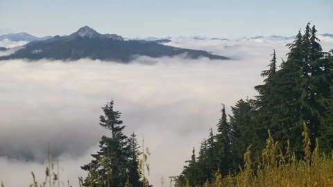 Sky Islands in a sea of cloud 4 Stock Footage 101205046