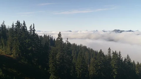 Sky Islands in a sea of cloud 5 Stock Footage 101204838