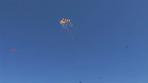 Sky Kite 13 Stock Footage 5548675