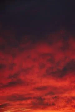 Sky light after sunset. orange background Stock Photos