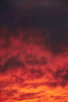Sky light after sunset. orange background Stock Photos