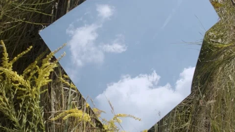 SKY IS THE LIMIT Stock Footage 188526062