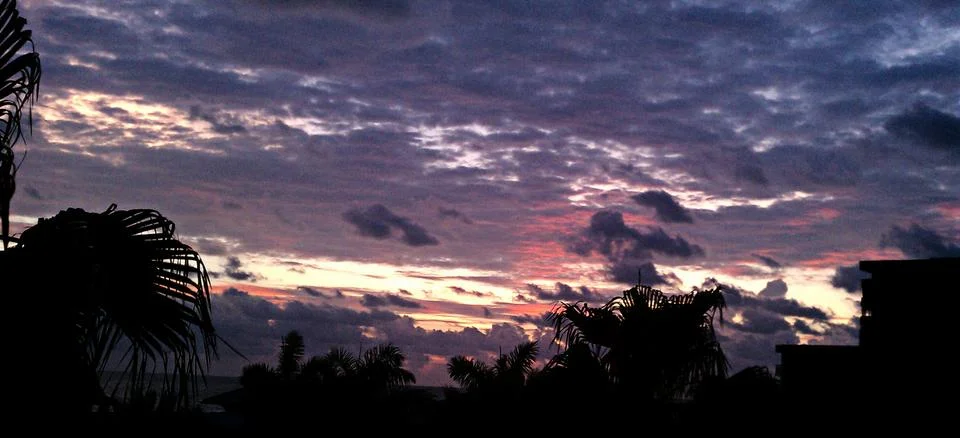 The sky looking purple with silhouette of palm trees Stock Photos