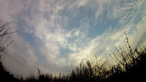 Sky Meadow Evening Timelapse Stock Footage 103056969