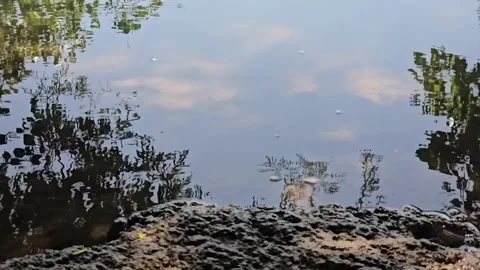 Sky-mirrored water dances with subtle wave ripples, capturing clouds and dark, w Vídeo Stock 338287922