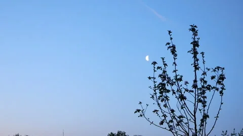 Sky with moon Stockbeeldmateriaal 167178627