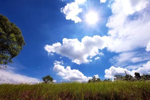 Sky mountain pasture Stock Photos