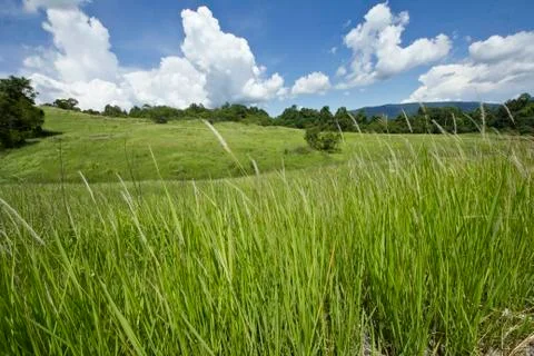 Sky mountain pasture Stock Photos