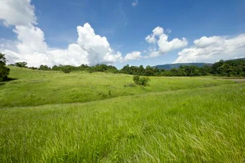 Sky mountain pasture Stock Photos