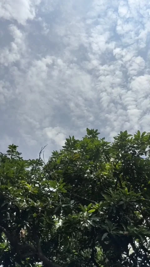 The sky is moving Stock-Footage 169793455