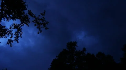 Sky at night with clouds  and trees Stock Footage 247044481
