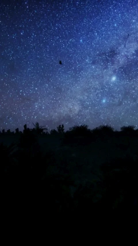 Sky, night, time lapse, starry, night, timelapse, starlight Stock Footage 314985925