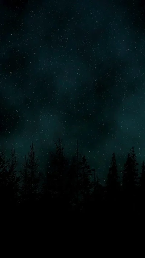 Sky, night, time lapse, starry, night, timelapse, starlight Stock Footage 314985961