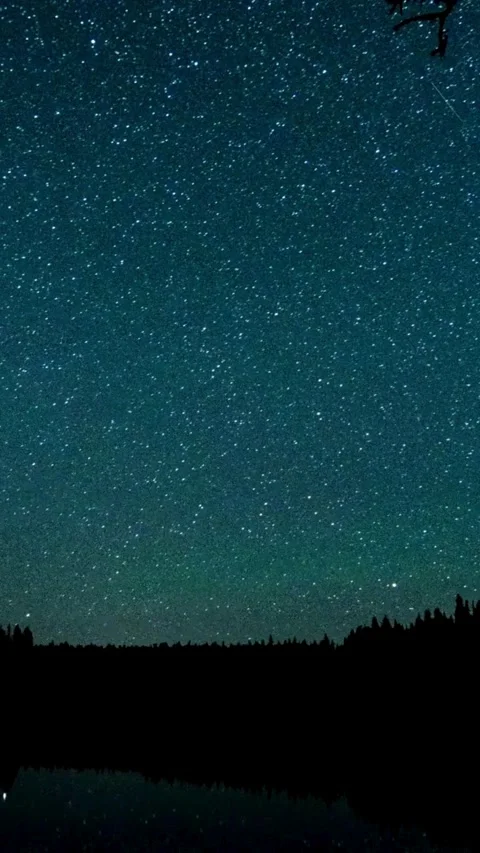 Sky, night, time lapse, starry, night, timelapse, starlight Stock Footage 314985962