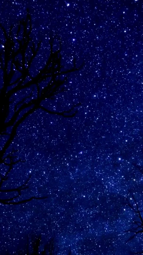 Sky, night, time lapse, starry, night, timelapse, starlight Stock Footage 314985972