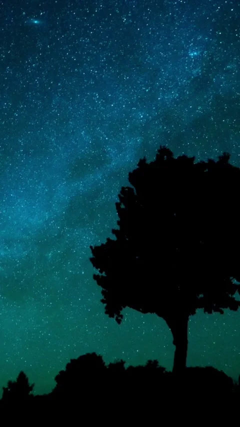 Sky, night, time lapse, starry, night, timelapse, starlight Stock Footage 314985976