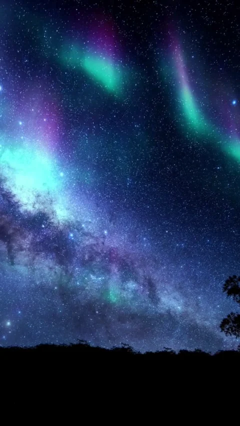 Sky, night, time lapse, starry, night, timelapse, starlight Stock Footage 314986021