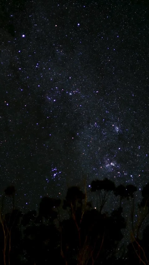 Sky, night, time lapse, starry, night, timelapse, starlight Stock Footage 314986140