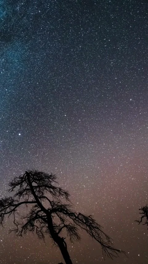 Sky, night, time lapse, starry, night, timelapse, starlight Stock Footage 314986212