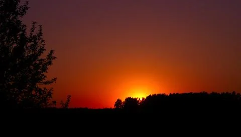 Sky in the orange colors. Light of the sun breaks through the forest..Beautif Stock Photos
