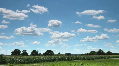 Sky over corn field Stock Footage 496672