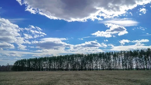 Sky over the field and trees, timelapse Russia Stock Footage 107794199