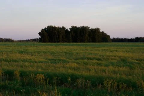 The sky over the field Foto stock