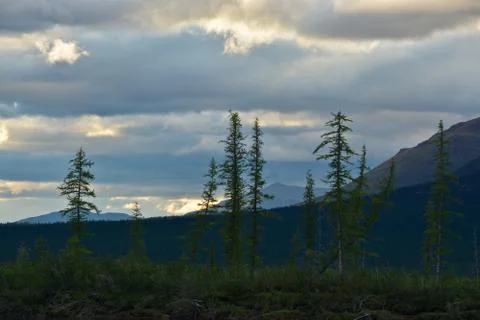 The sky is overcast. Stock Photos