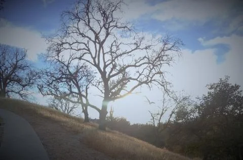 Sky Paint Stock Photos