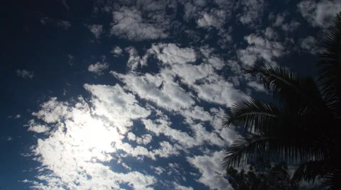 Sky with Palm Trees Time Lapse 1 Stock Footage 44019871