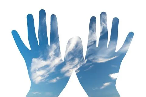 The sky with the palms on a white background. Stock Photos