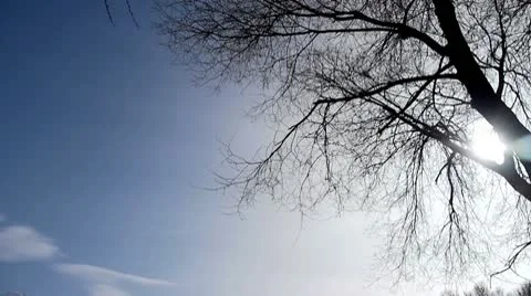 Sky pan to a church Vidéo 10767390