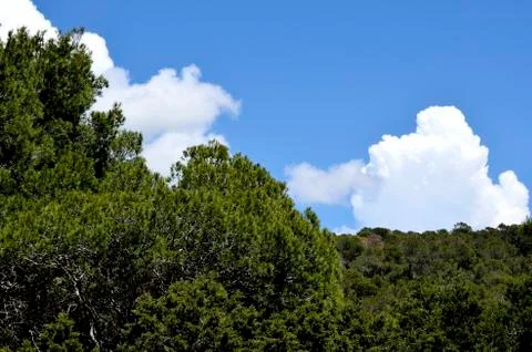 The sky Stock Photos