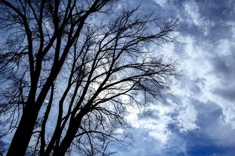 Up into the sky Foto stock