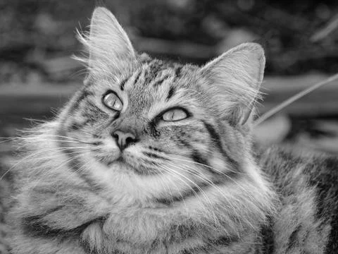 Up in The Sky Stock Photos