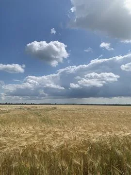 The sky Stock Photos