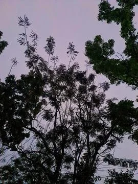 A sky Stock Photos