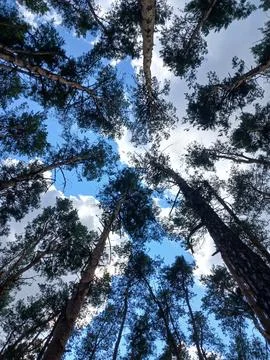 Sky Stock Photos