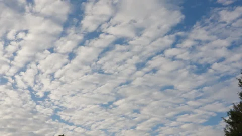 Sky Plate Stock Footage 281109934