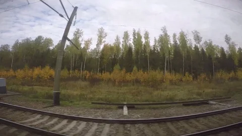 Sky of Puffy White Clouds Above Lush Siberian Autumn Birch Trees Stock Footage 81808547